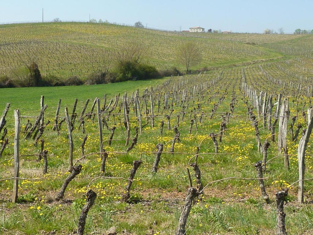 Le Dormeur Du Val Panzió Le Mas-dʼAgenais Kültér fotó